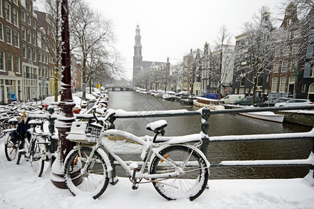 城市建造阿姆斯特丹在荷兰冬季被Westerkerk河雪淹没家图片