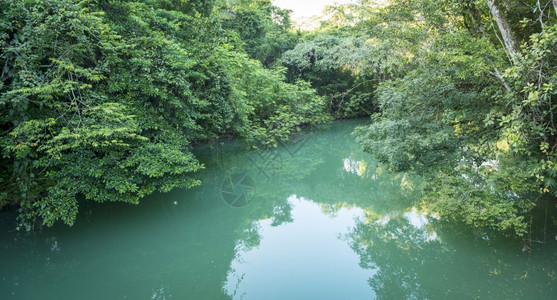 荒野伯利兹托莱多RioBlanco公园的丛林河宁静户外森图片