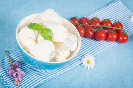 红色的食物布法拉意大利新鲜奶制品如莫扎里拉瑞冰塔和樱桃西红柿图片