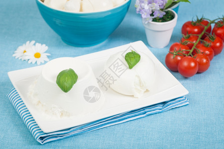 奶酪春天意大利新鲜奶制品如莫扎里拉瑞冰塔和樱桃西红柿凝乳图片