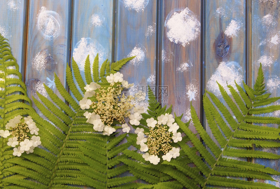 一种夏天蓝木本底的绿色野叶和白花雕刻粉色的图片