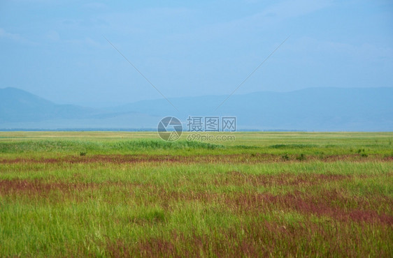 墙纸景观在俄罗斯布亚提的巴古津山谷地背景上草原植物图片