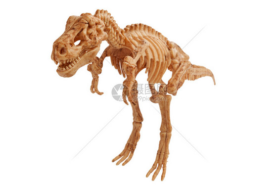 灭绝白色上隔离的巨恐龙侏罗纪怪物图片