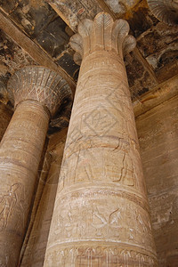 上帝宗教埃及Edfu寺庙Papyrus柱埃及人图片