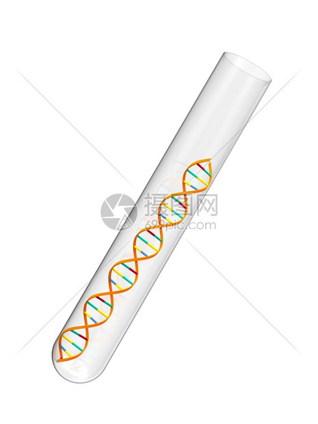 管子一种在白色背景隔离的试验管中脱氧核糖酸染色体图片