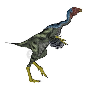 自然白色的鸟在背景下行走的恐龙3D转化图片