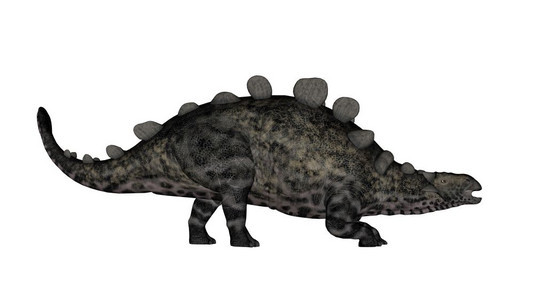 在白色背景中与世隔绝的克隆龙恐3D让克隆恐与3D形成使为克莱顿龙白色的图片