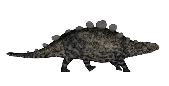在白色背景中与世隔绝的克隆龙恐3D让克隆恐与3D形成草食步行金刚龙图片