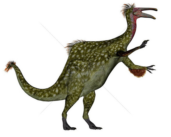 Deinocheirus恐龙行走的同时咆哮在白色背景中与世隔绝3D化Deinocheirus恐龙3D化身步行动物绿色图片