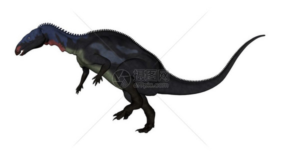 插图恐龙脊椎动物在白色背景中与世隔绝3D化为DDDD图片