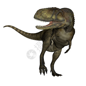 阿贝利龙白色的艾比恐在白色背景中被孤立地咆哮3D变成亚比龙恐3D爬虫图片