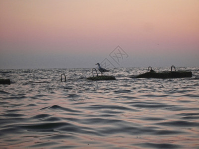 海洋日落自然在岸边的石头上孤单海滨图片