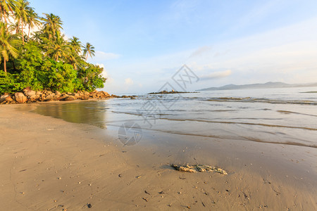 普吉岛早期的清晨泰国普吉邦道海滩复制空间图片