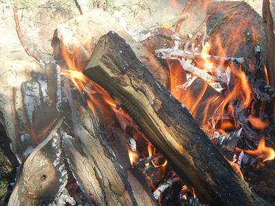 炉边燃料自然火灾烧柴篝图片