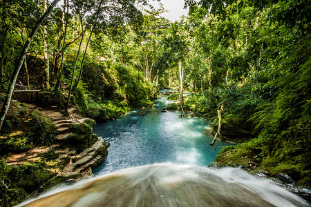 牙买加热带水域绿色天堂牙买加自然旅行洞图片