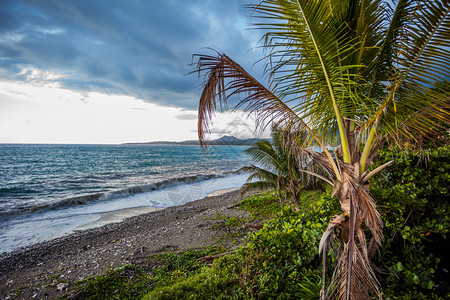 蓝色的奥乔自然牙买加热带水域绿色天堂牙买加图片