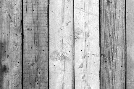 荷兰Leidschendam的木板栅栏做作画老图片