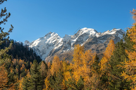 雪污染谷瑞士阿尔卑斯山的奥乌姆风景与伯尔尼纳峰图片