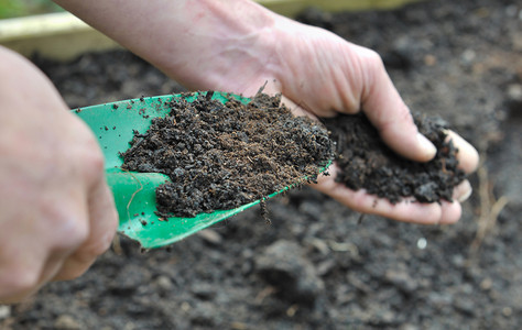 自然播种机手持园艺工具满花堆肥的手工男子壤土图片
