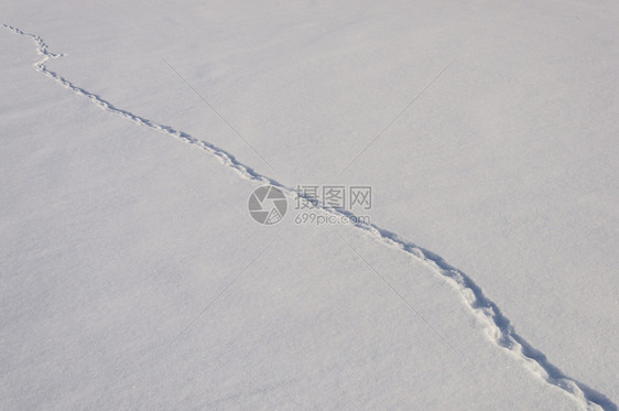 晴天自然季节带动物痕迹的雪田阳光明媚的冬季日图片