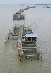 泰国渔业村木头热带海图片
