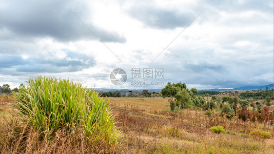 马达加斯高原地区农上云雾笼罩着的领域图片