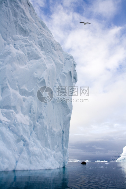 东格陵兰斯比松远处的西北Fjord的Iceberg冰斯科比松海景图片