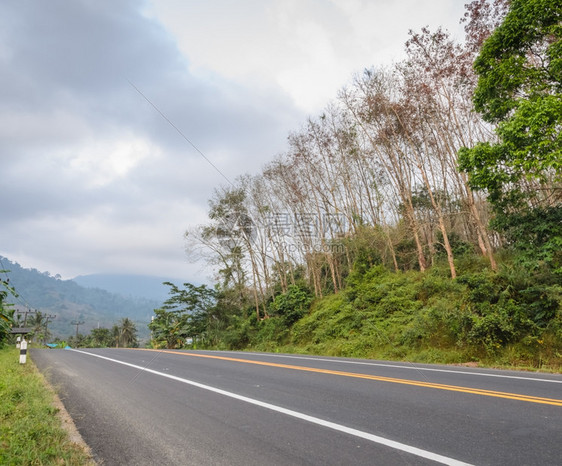 清晨雾笼罩的田间道路图片