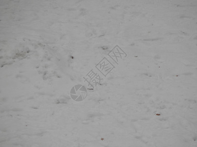 城市的白色新鲜雪纹理覆盖了地面和沥青图片
