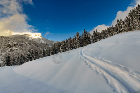 冬季雪景风光图片