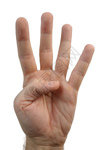 简单人类能够可以用手指显示的不同势label图片