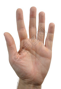 团体简单可以用手指显示的不同势label白色的图片