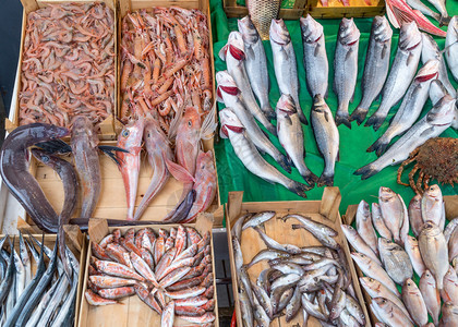 一顿饭物种伊斯坦布尔渔场上的各种鱼火鸡图片