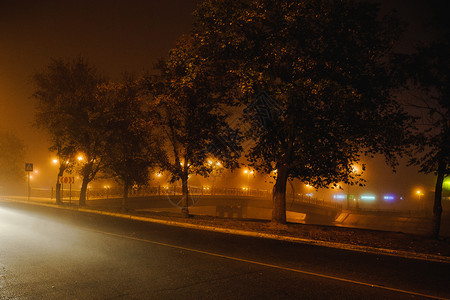 夜晚树雾中色城市风景照片中雾城市风景心图片