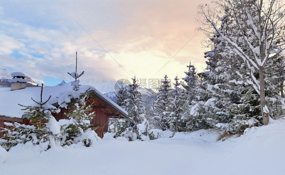 木制的在清雪中木制高山小屋上美景在日落的木制高山小屋上在日落的鲜雪上在日落时有毛树新鲜的风景优美图片