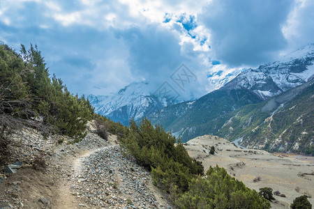 岩石尼泊尔春日喜马拉雅山的落基小径绿色徒步旅行图片