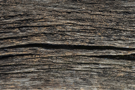 灰色的邋遢关闭古老自然气候恶劣木板裂缝纹理未上漆图片