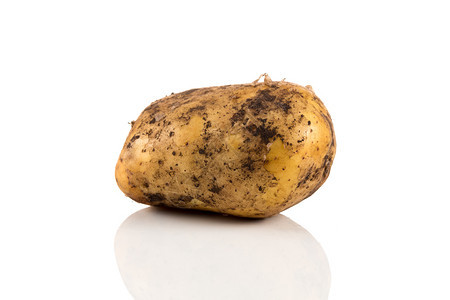 根白色背景上孤立的新鲜脏土豆生有机的图片