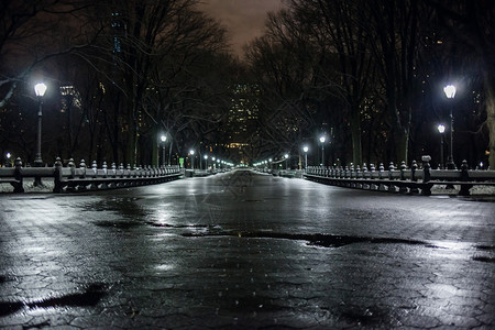 城市景观雨后夜巷的中央公园夜巷的中央公园纽约市户外图片