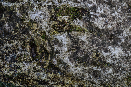 墙纸肮脏的灰山岩表面带苔的纹理老图片