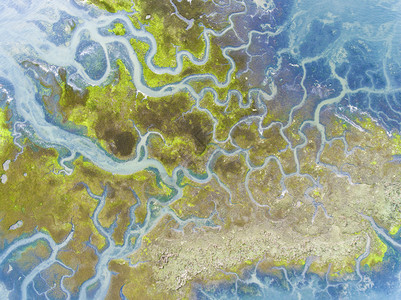 旅游乔耶尔西班牙坎塔布里亚桑托纳维多利亚和约耶尔的沼泽自然公园颜色图片