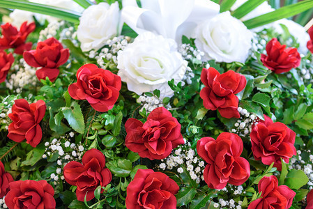在婚礼或周年纪念等特殊场合盛装红白玫瑰和的美丽装饰情人节浪漫的婚姻图片