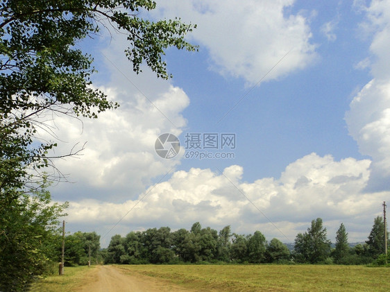 景观树植物群道路和无云蓝天空的风景图片