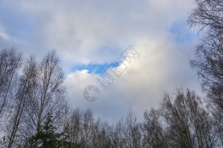 最佳一种树顶和美丽的阴云天空秋有蓝色的窗晴图片