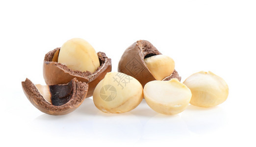 棕色的澳洲坚果白种背景孤立的坚果贝壳图片