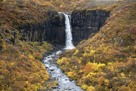 冰岛Skaftafell公园Svartifos瀑布的Basalt柱子上坠水史卡夫塔山栏目b崩溃图片
