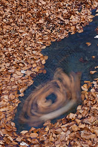 冬天瓦斯科公园秋的河流西班牙巴斯克州阿拉瓦Otzarreta森林图片