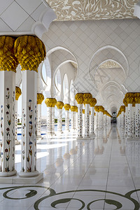 白色的金花阿联酋布扎比SheikhZayedGrand清真寺专座画廊的黄金首府图片