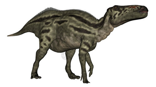 在白色背景中被孤立的山洞龙恐3D使山洞恐变成3D白色的怪物动图片