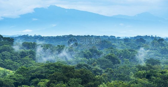墨西哥人恰帕斯的森林风景与山岳交汇于墨西哥恰帕斯公园丛林图片